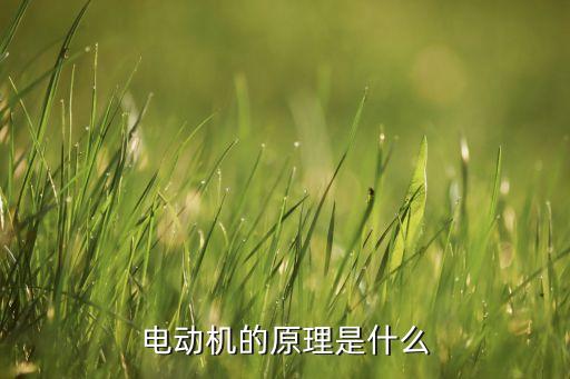 電機的工作原理，電動機的工作原理