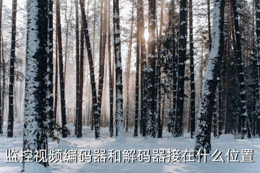 視頻編解碼，手機(jī)視頻解碼應(yīng)該選擇GDI還是GAPI