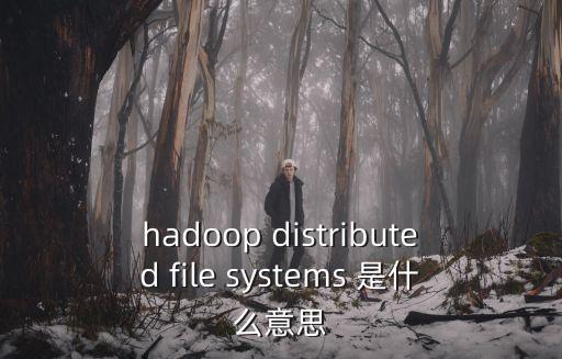 hadoop distributed file systems 是什么意思