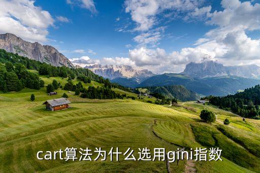 cart算法為什么選用gini指數(shù)