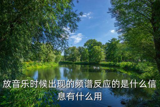 放音樂(lè)時(shí)候出現(xiàn)的頻譜反應(yīng)的是什么信息有什么用