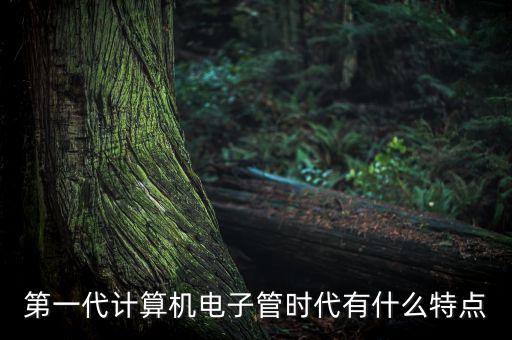 電子管計(jì)算機(jī)，第一代計(jì)算機(jī)電子管時(shí)代有什么特點(diǎn)