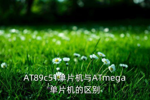 AT89c51單片機(jī)與ATmega單片機(jī)的區(qū)別