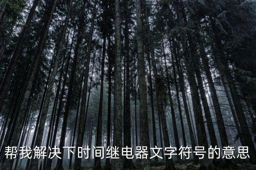 幫我解決下時間繼電器文字符號的意思