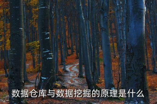 數(shù)據(jù)倉庫與數(shù)據(jù)挖掘的原理是什么