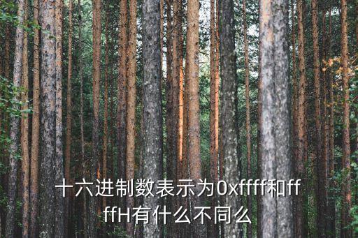 0xffff，十六進制下的與運算0xFFFF是干什么用的