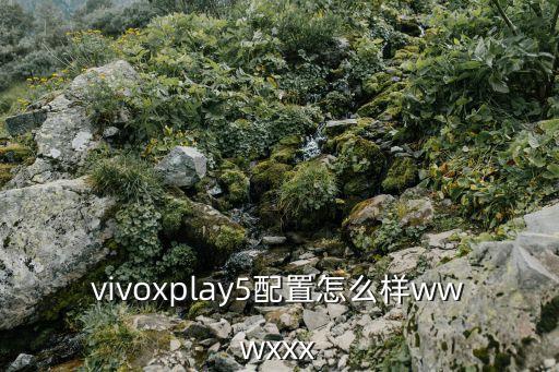 vivoxplay5配置怎么樣wwwxxx