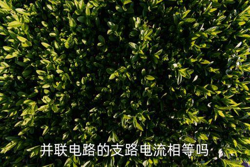并聯(lián)電路的支路電流相等嗎