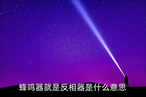 蜂鳴器有什么用，請問各位新買的機箱里帶的蜂鳴器有何用處