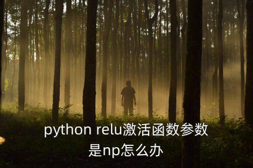 python relu激活函數(shù)參數(shù)是np怎么辦