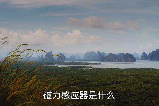 磁力感應(yīng)器是什么