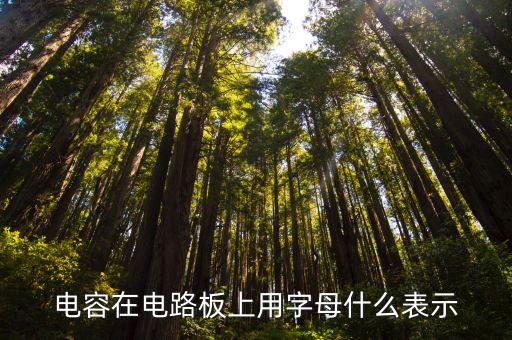 電容在電路板上用字母什么表示