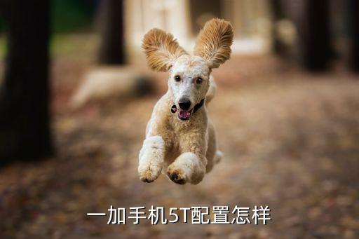 一加5t參數(shù)，一加手機5T 的配置是什么