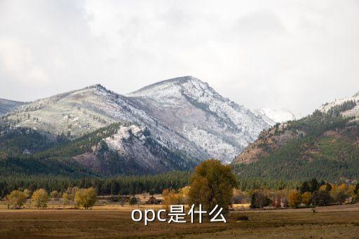 opc，opc是什么