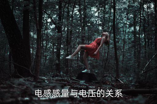 電感量，電感感量與電壓的關系