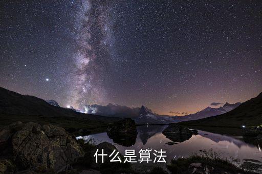 什么是算法