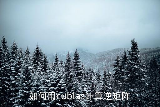 cublas，如何配置cublas symm函數(shù)參數(shù)