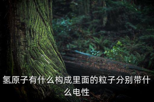 氫原子有什么構(gòu)成里面的粒子分別帶什么電性