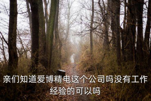 親們知道愛博精電這個(gè)公司嗎沒有工作經(jīng)驗(yàn)的可以嗎