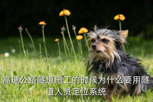 隧道人員定位，高速公路隧道施工的時候為什么要用隧道人員定位系統(tǒng)