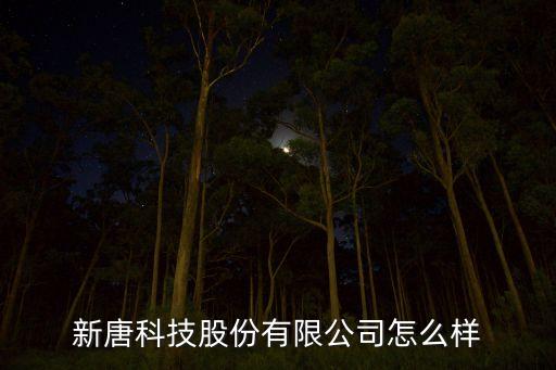 新唐科技股份有限公司怎么樣