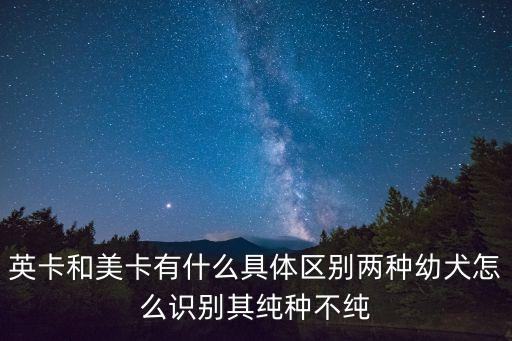 英卡，英卡和美卡有什么不同