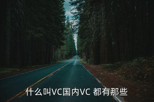 什么叫VC國內(nèi)VC 都有那些