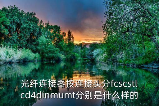 FC接口，光纖連接器按連接頭分fcscstlcd4dinmumt分別是什么樣的