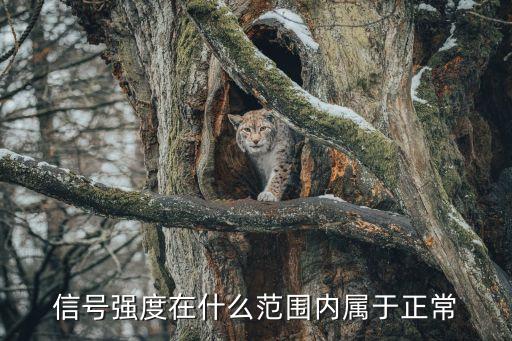 信號(hào)強(qiáng)度在什么范圍內(nèi)屬于正常