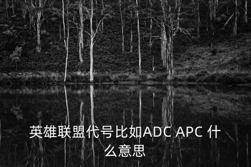 英雄聯(lián)盟代號比如ADC APC 什么意思