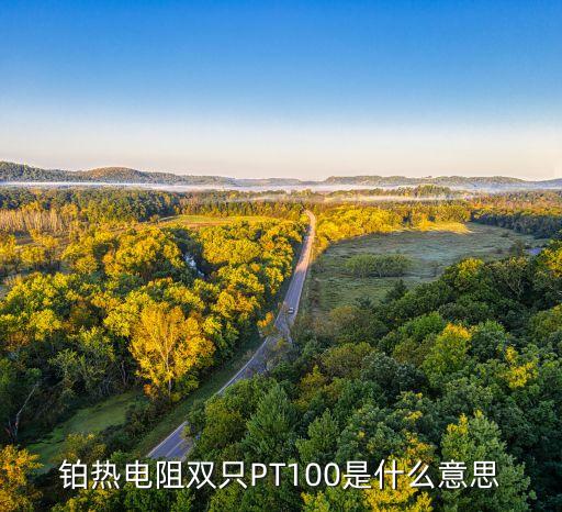 鉑熱電阻雙只PT100是什么意思