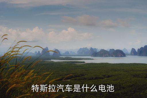 特斯拉汽車(chē)是什么電池