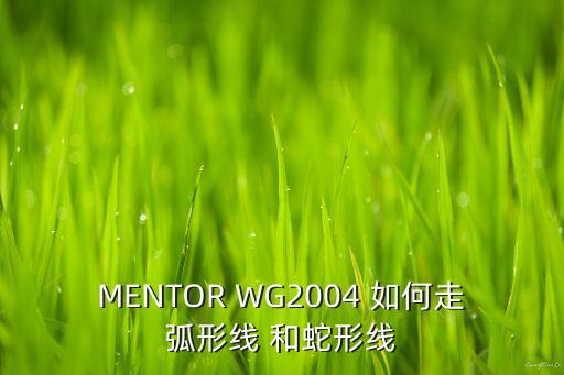 MENTOR WG2004 如何走弧形線 和蛇形線