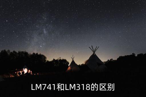 lm741，請(qǐng)問(wèn)誰(shuí)有LM741的中文資料或者對(duì)這個(gè)芯片的介紹
