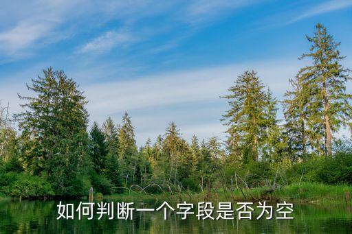 如何判斷一個字段是否為空