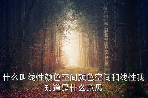 什么叫線性顏色空間顏色空間和線性我知道是什么意思