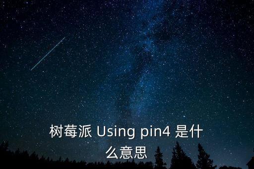 樹莓派 Using pin4 是什么意思