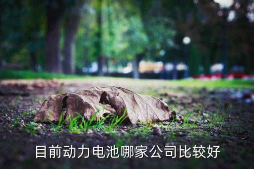 目前動力電池哪家公司比較好