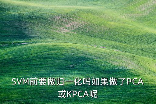 kpca，對高光譜數(shù)據(jù)降維利用pca方法是降波段還是像素kpca方法的核矩陣