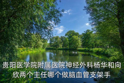 貴陽醫(yī)學(xué)院附屬醫(yī)院神經(jīng)外科楊華和向欣兩個(gè)主任哪個(gè)做腦血管支架手