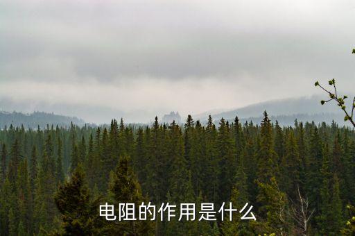 電阻的作用，電阻有什么作用