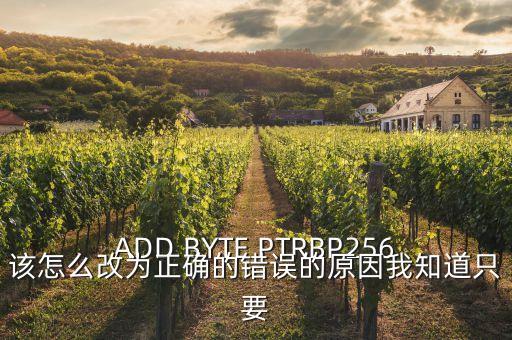 bsdf，ADD BYTE PTRBP256該怎么改為正確的錯(cuò)誤的原因我知道只要