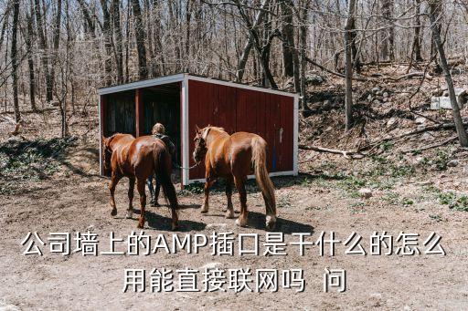 公司墻上的AMP插口是干什么的怎么用能直接聯(lián)網(wǎng)嗎  問(wèn)