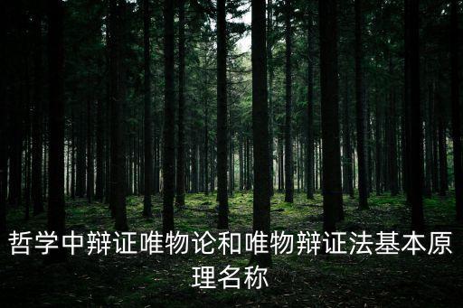 哲學(xué)中辯證唯物論和唯物辯證法基本原理名稱