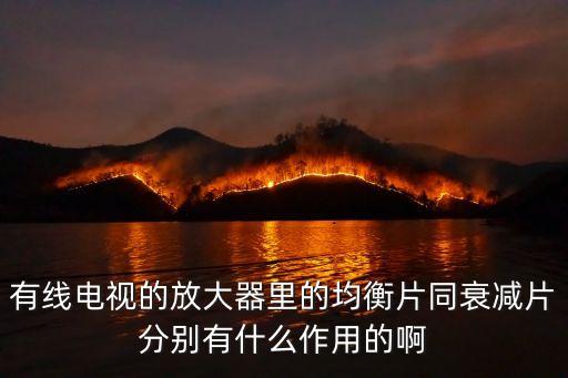 有線電視的放大器里的均衡片同衰減片分別有什么作用的啊