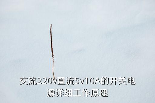 交流220v直流5v10A的開關(guān)電源詳細(xì)工作原理