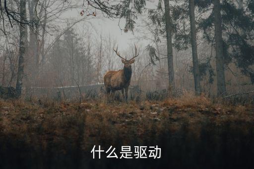 驅(qū)動是什么，計(jì)算機(jī)的驅(qū)動是什么概念