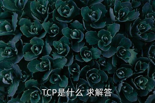 tcp協(xié)議，tcp是什么