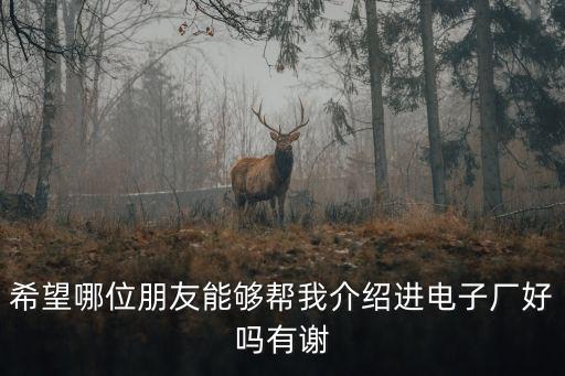 希望哪位朋友能夠幫我介紹進(jìn)電子廠好嗎有謝