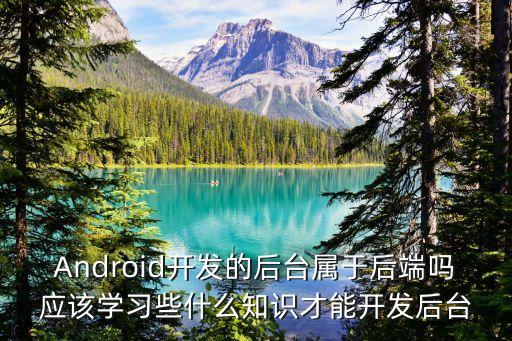 Android開發(fā)的后臺屬于后端嗎應(yīng)該學(xué)習(xí)些什么知識才能開發(fā)后臺